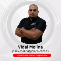 Jose Vidal Molina