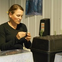 Kristen Grote