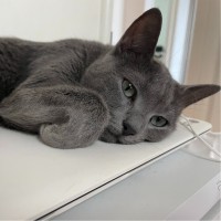 윤민욱