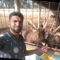 Alamgir Hossain