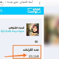 Asmaa Alshnwany