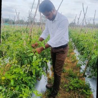 Ranjan P H