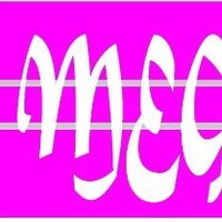Meg Service srl
