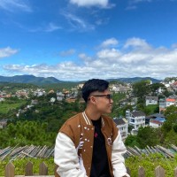 phương nam trinh