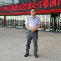 王新华