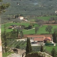 Santilli Carolina