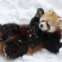 李重墨