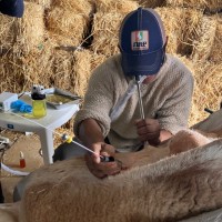 Luis A. Herrera Ordóñez