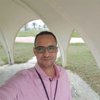 Alaa Alansary