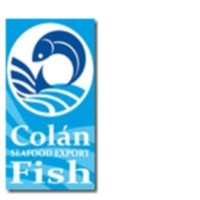 Colanfish Rosy