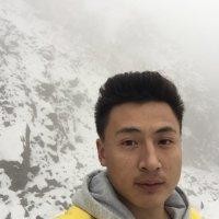 杨九零