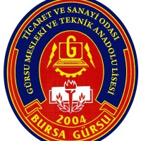 Tso Gürsu Mesleki Ve Teknik Anadolu Lisesi