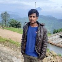 Srinivasan P