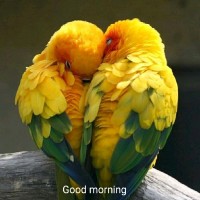 Prabir Biswas