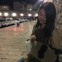 Dan Song