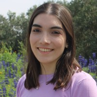 Sari Oren