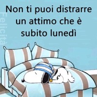 Fabiola Calpicchi