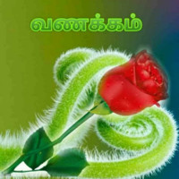 Dharani P