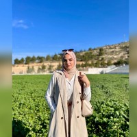 Malak Masoud