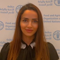 Areej Nsour