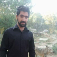 Utku Bayrak