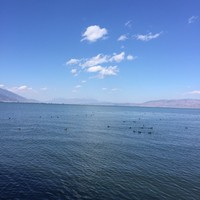 祝东海