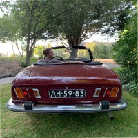 Thijs van Buuren