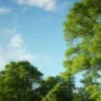 王同春