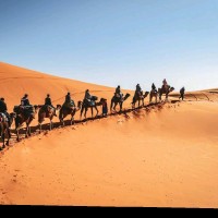 morocco camel tours