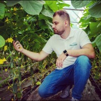 Stanciu Raymond