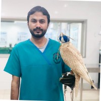 Dr Saad Bin Khalid