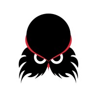 The Night Owl Solutions