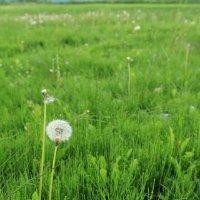 沈松林