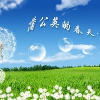 陈韵竹