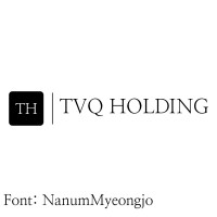 Tvq Holding