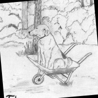Dee's Designs - D.