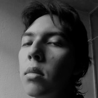 Francisco Jael Bores Perez