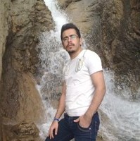 hamed davodi