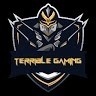 TERRIBLE GAMING
