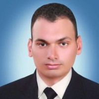 Wael Abozeid