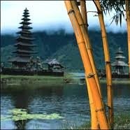 i gede artana