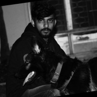 Shivam Bhargava