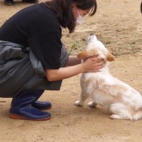 김경진