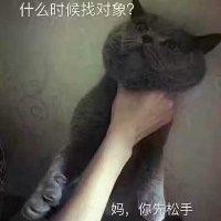 李家苇