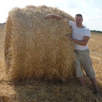 Василий Асеев