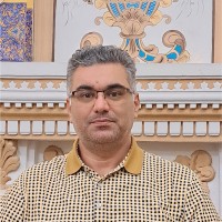 Mehdi Rouholamin