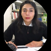 Maribel Núñez-Valdez, Ph.D. ⚛️