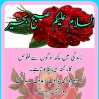 Kaleem Kaleem