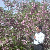 Habibollah Nourbakhsh