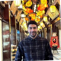 Alaa Abdelwahed